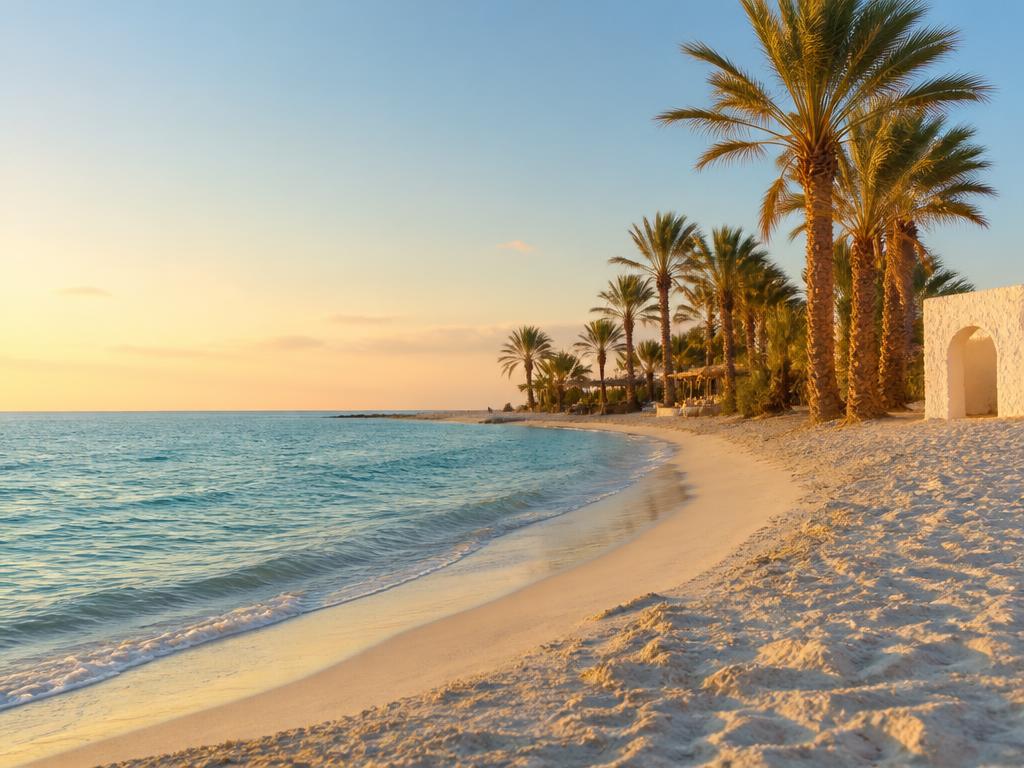 Plage de sable blanc et mer turquoise bordée de palmiers à Djerba